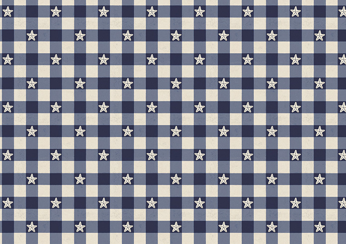 Whaley Great, Gingham Star Shore - Roman Blind - Image 7